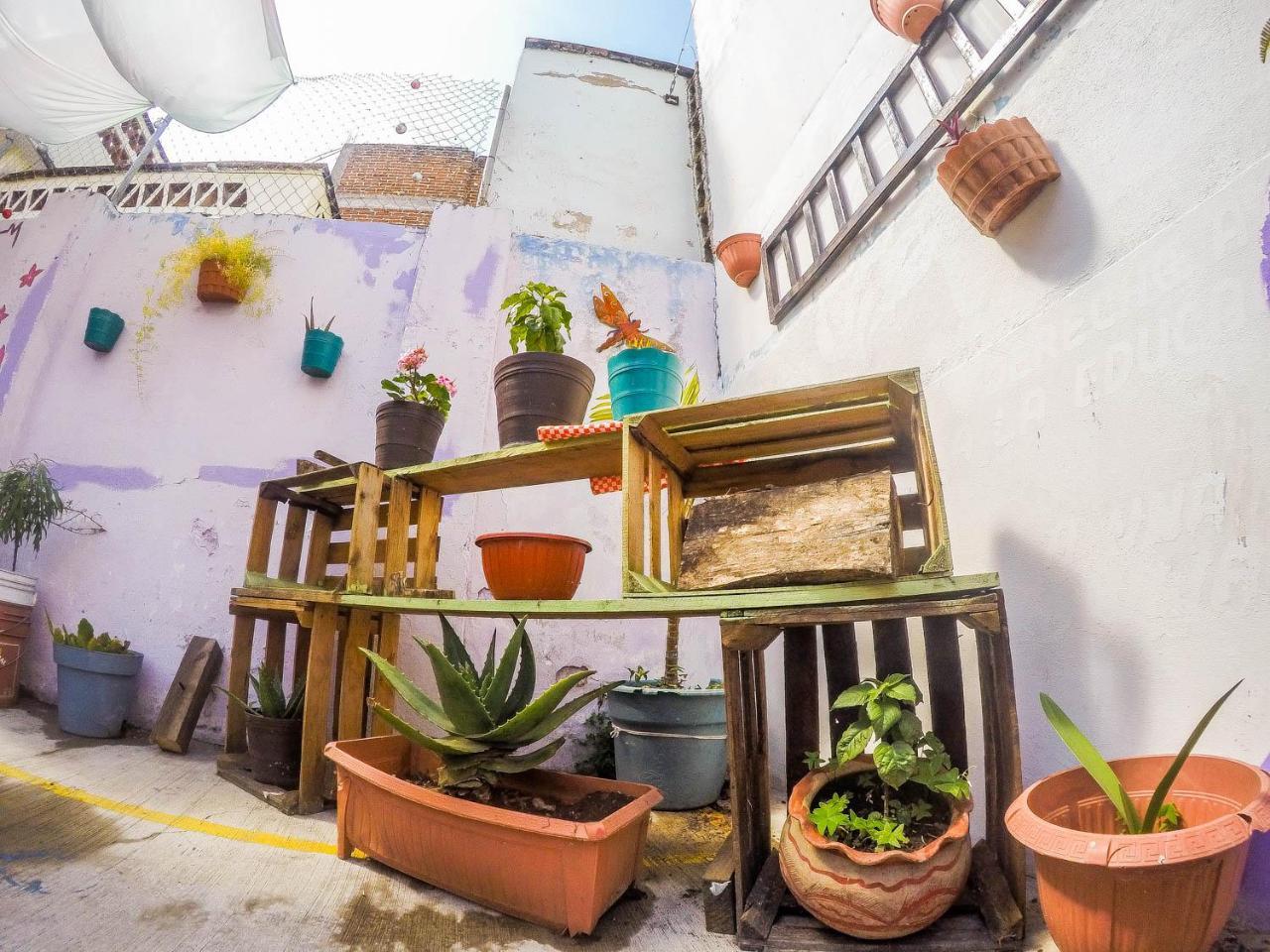 Casa Papa Chango San Cristobal de las Casas Exterior photo